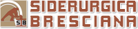 logo siderurgica bresciana